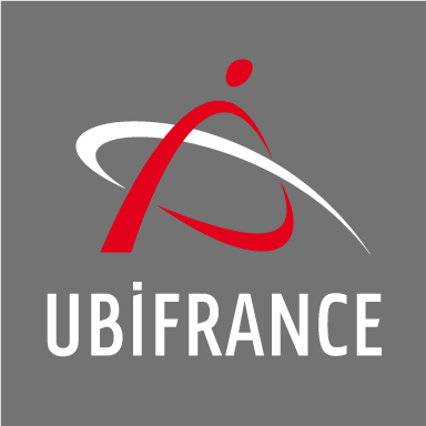 Ubi France